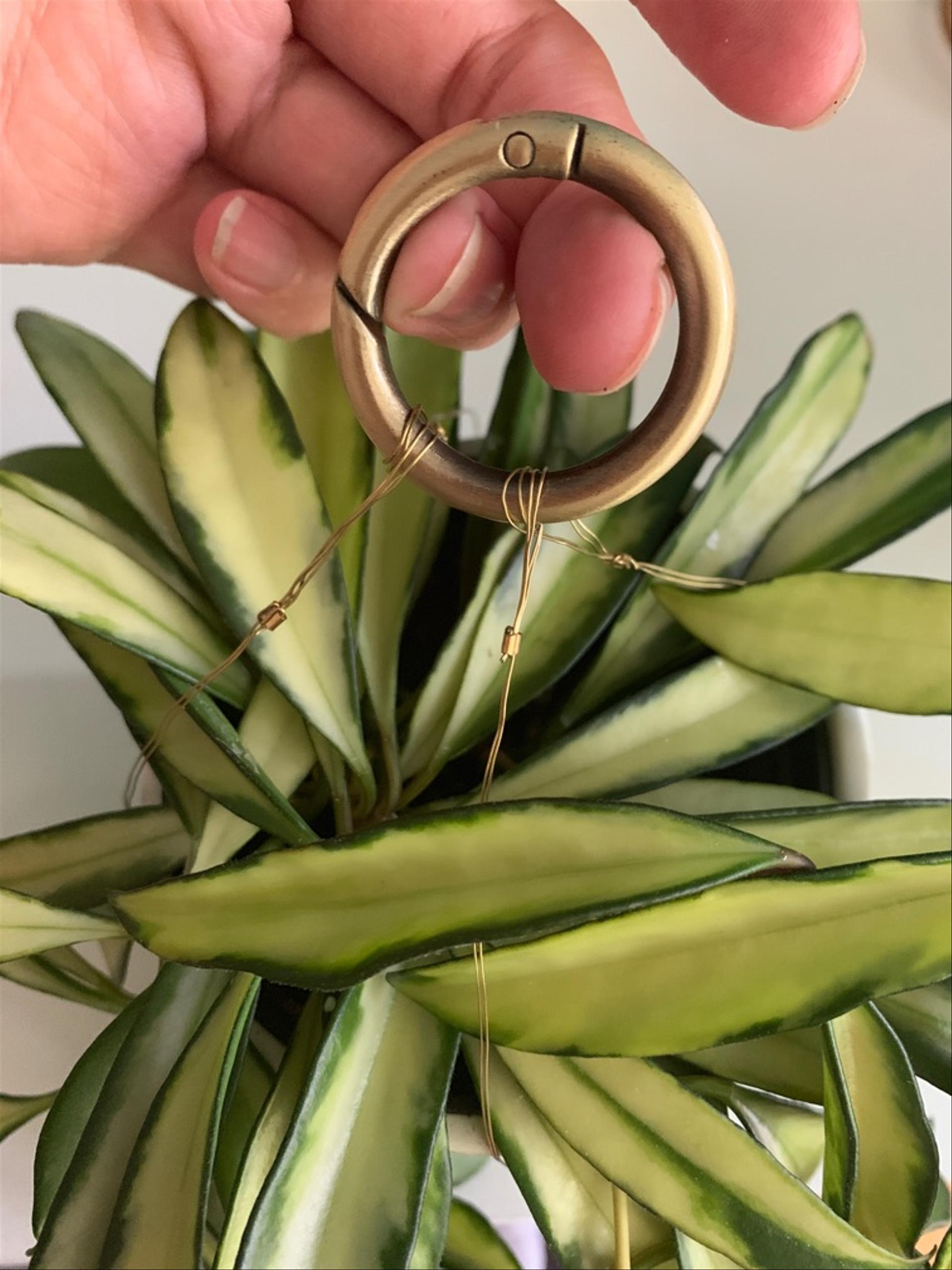 The loop of wire hanging from a circular carabiner